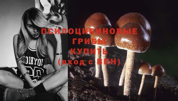 круглые Балахна