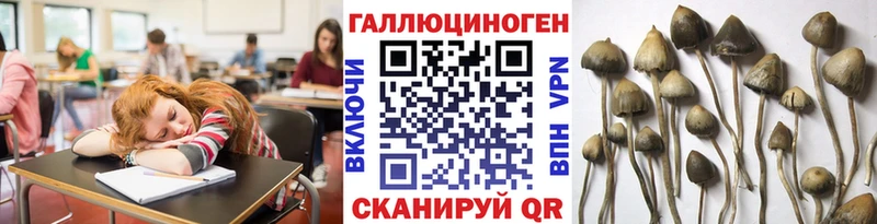 Псилоцибиновые грибы мухоморы  Демидов 